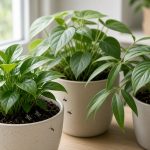 How to Get Rid of Flying Bugs on Indoor Plants